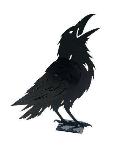 3D Crow