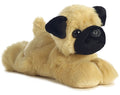 Aurora - Mr. Pugster