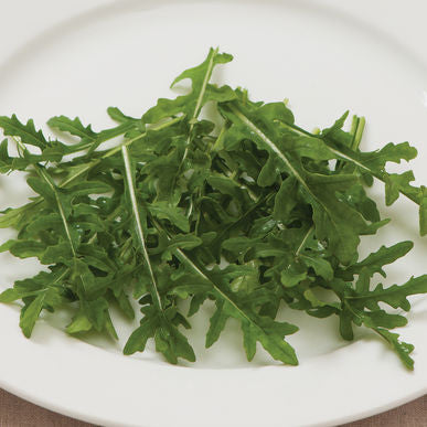 Bellezia Arugula Seeds (Diplotaxis tenuifolia)