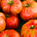 Big Rainbow Tomato Seeds