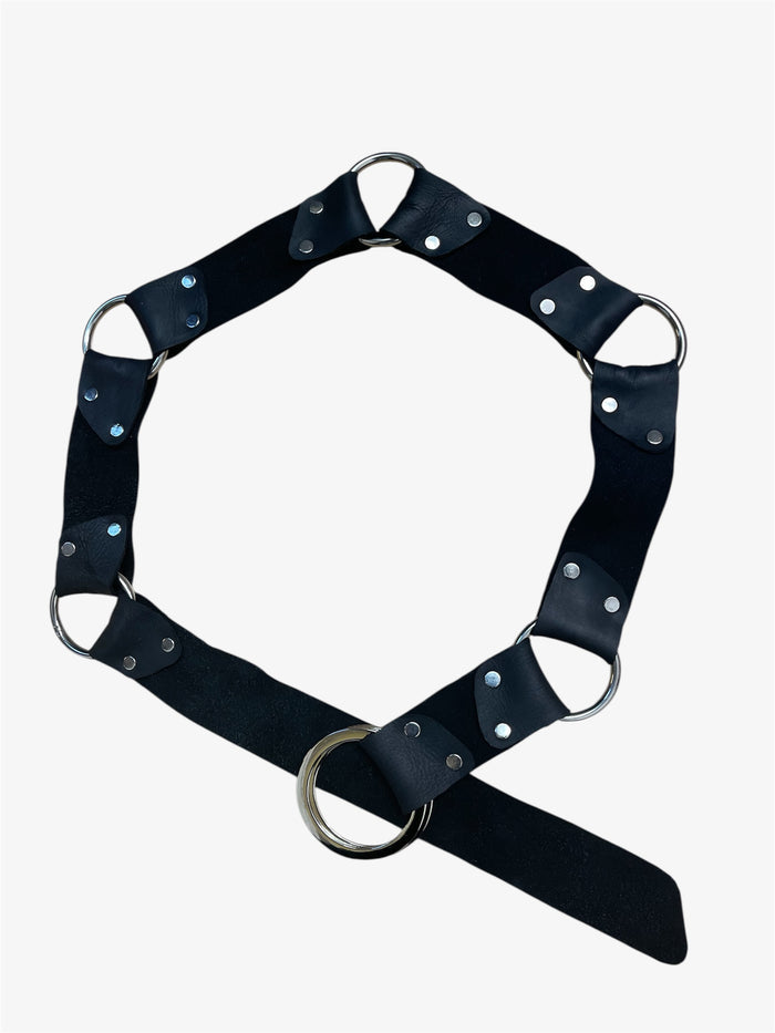 Black leather dog collar with metal rings on a white background