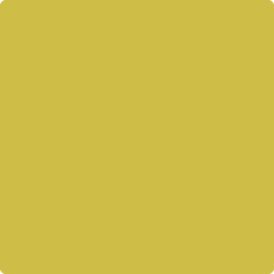 Shop the paint color 371 Bright Gold by Benjamin Moore at Anderson Paint Company in Ann Arbor, Michigan.