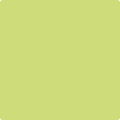 Shop the paint color 403 Candy Green by Benjamin Moore at Anderson Paint Company in Ann Arbor, Michigan.
