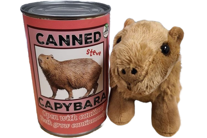 Canned Gifts - Steve the Canned Capybara | Stuffed Animal Plush w/Jokes by Canned Gifts
