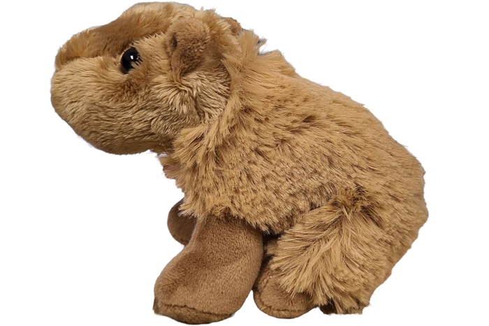 Canned Gifts - Steve the Canned Capybara | Stuffed Animal Plush w/Jokes by Canned Gifts