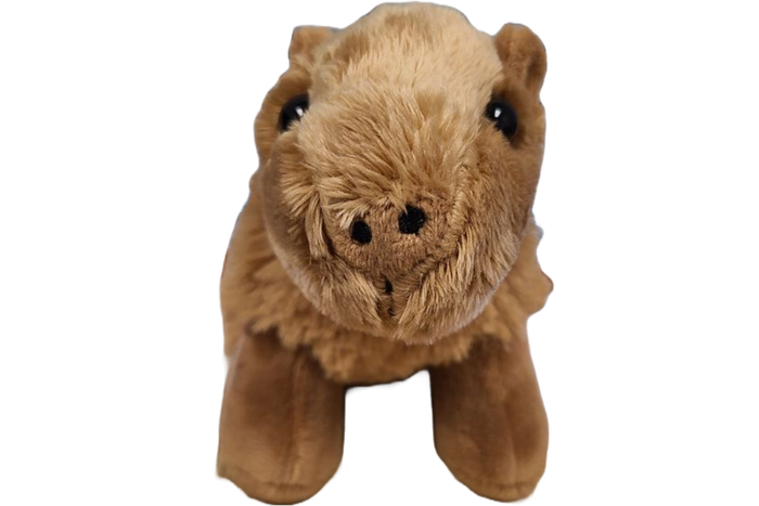 Canned Gifts - Steve the Canned Capybara | Stuffed Animal Plush w/Jokes by Canned Gifts