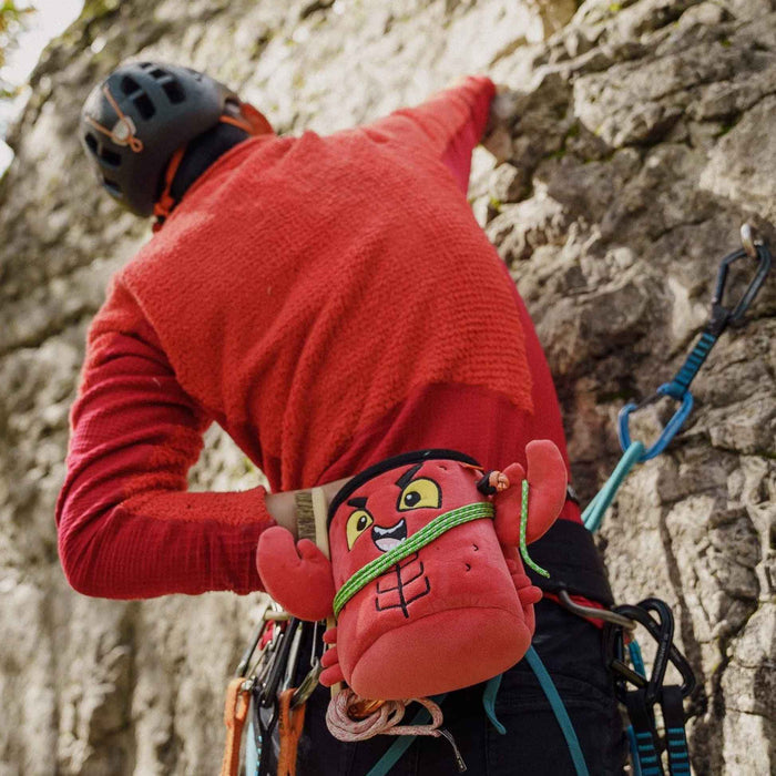 YandY Chalk Bag - Lobster Climbing - Chalk Bags  Mountain Equipment