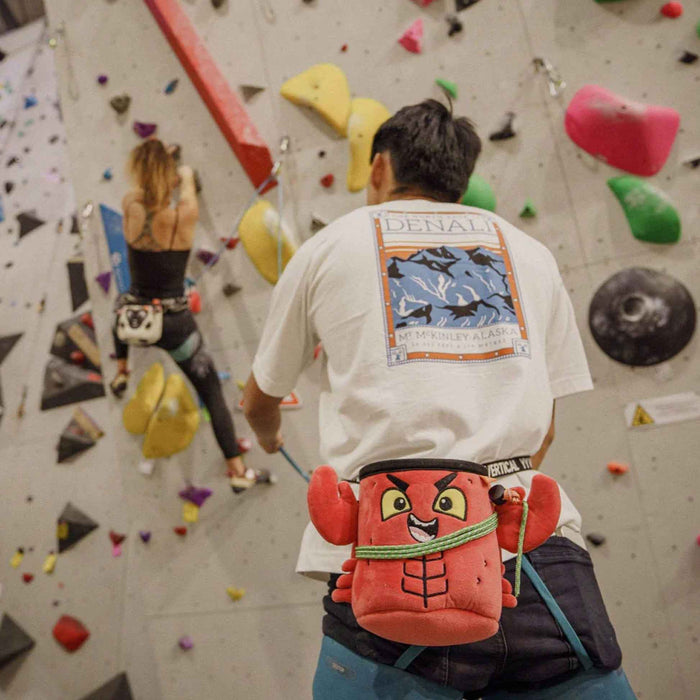 YandY Chalk Bag - Lobster Climbing - Chalk Bags  Mountain Equipment