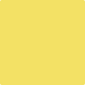 Shop the paint color 354 Cheerful by Benjamin Moore at Anderson Paint Company in Ann Arbor, Michigan.