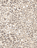 Cheetah Vision Safari