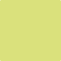Shop the paint color 396 Chic Lime by Benjamin Moore at Anderson Paint Company in Ann Arbor, Michigan.