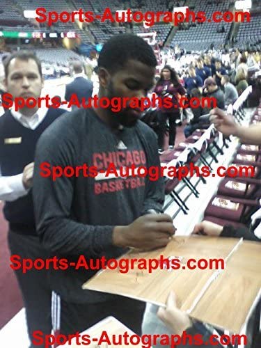 Chicago Bulls 2014-15 Team Autographed Signed Basketball Floorboard