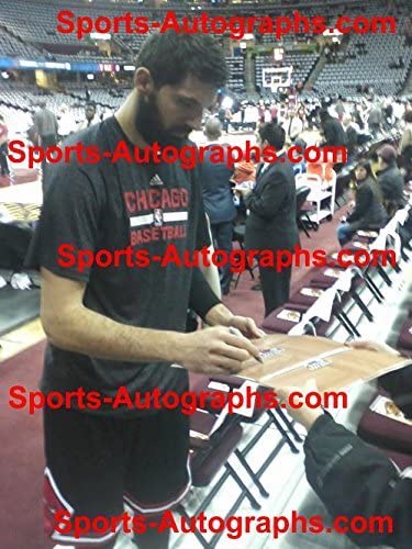Chicago Bulls 2014-15 Team Autographed Signed Basketball Floorboard