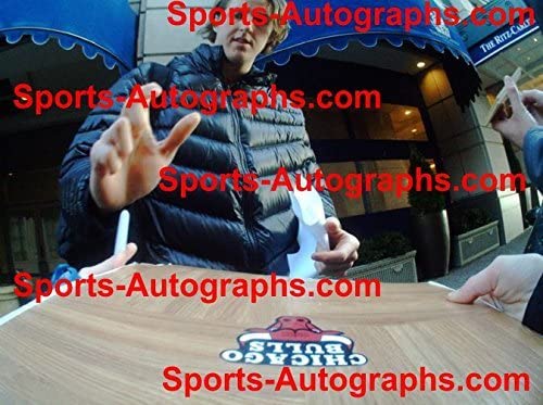 Chicago Bulls 2014-15 Team Autographed Signed Basketball Floorboard
