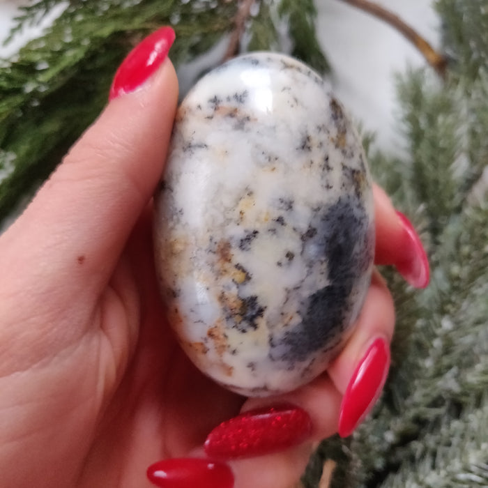Dendritic Opal  Palm Stone (#20)