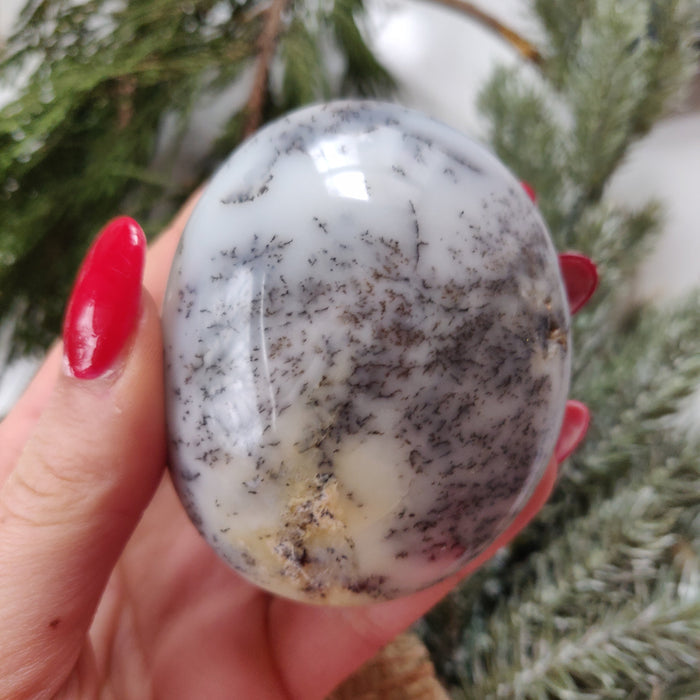 Dendritic Opal  Palm Stone (#22)