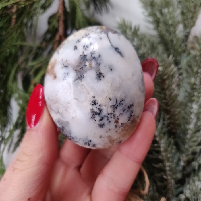 Dendritic Opal  Palm Stone (#23)