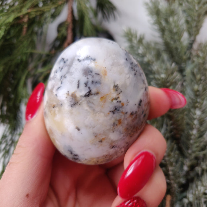 Dendritic Opal  Palm Stone (#23)