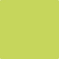 Shop the paint color 404 Electric Slide by Benjamin Moore at Anderson Paint Company in Ann Arbor, Michigan.