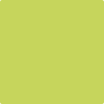 Shop the paint color 404 Electric Slide by Benjamin Moore at Anderson Paint Company in Ann Arbor, Michigan.