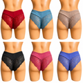 Elegant Floral Lace Panty – Soft Microfiber Comfort | Medium