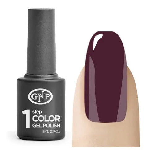 Esmalte Para Uñas En Gel De 1 Paso #17 Purpura Nice