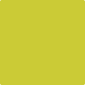 Shop the paint color 399 Exotic Lime by Benjamin Moore at Anderson Paint Company in Ann Arbor, Michigan.