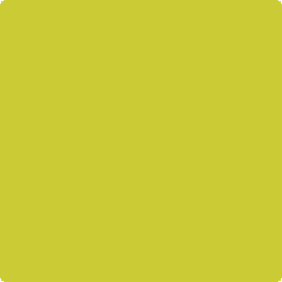 Shop the paint color 399 Exotic Lime by Benjamin Moore at Anderson Paint Company in Ann Arbor, Michigan.