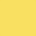 Shop the paint color 341 Fiesta Yellow by Benjamin Moore at Anderson Paint Company in Ann Arbor, Michigan.