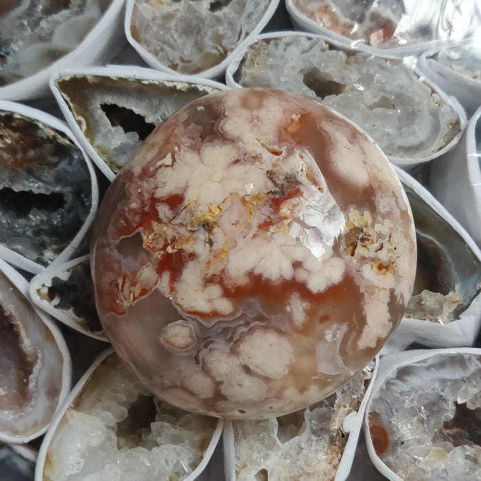 Flower Agate Palm Stone (#8)