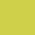 Shop the paint color 398 Flower Power by Benjamin Moore at Anderson Paint Company in Ann Arbor, Michigan.