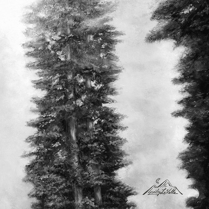 Fog In Yosemite by Emily LaVelle