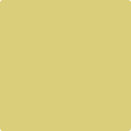 Shop the paint color 390 Golden Delicious by Benjamin Moore at Anderson Paint Company in Ann Arbor, Michigan.