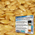 Golden Flax Seeds (Linum usitatissimum)