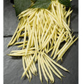 Goldilocks Bean Seeds (Phaseolus vulgaris) [PACKET ONLY]