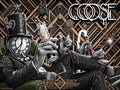 Goose - Austin 2024