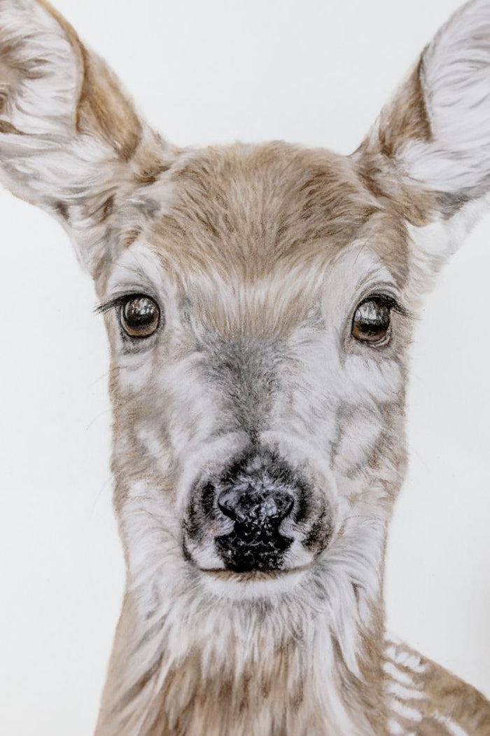 Grace Deer Print