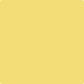 Shop the paint color 348 Inner Glow by Benjamin Moore at Anderson Paint Company in Ann Arbor, Michigan.