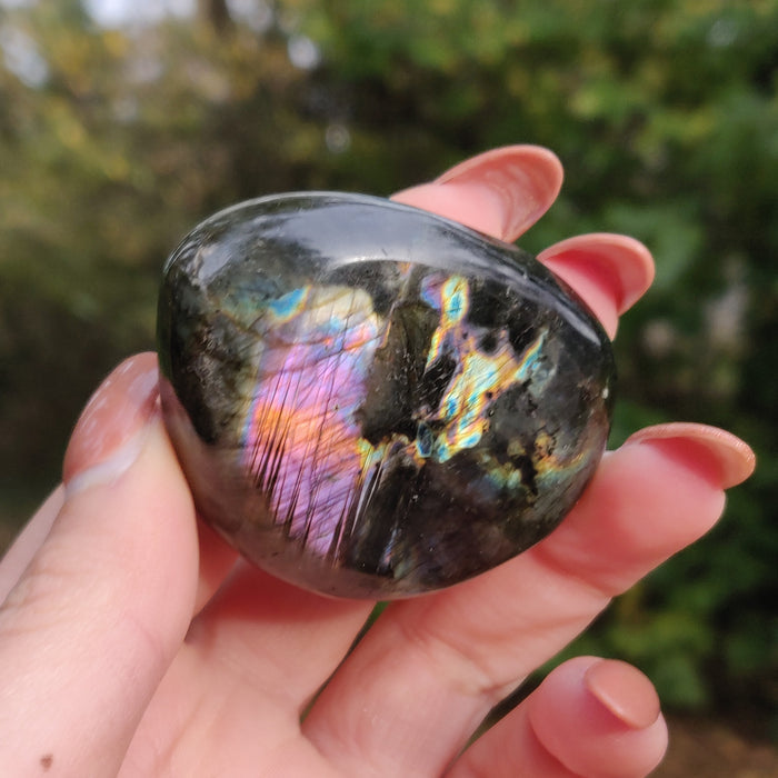 Labradorite Palm Stone (#47N) - Simply Affinity