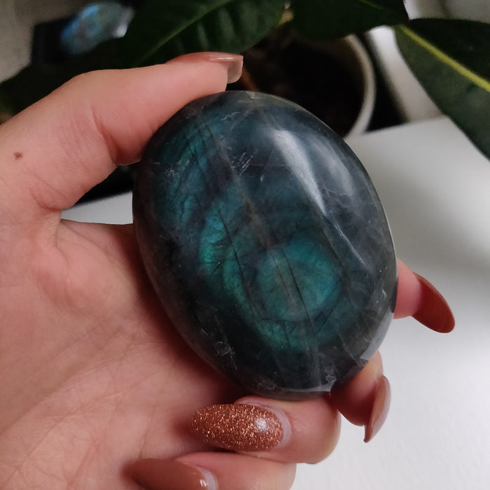 Labradorite Palm Stone (#62) - Simply Affinity