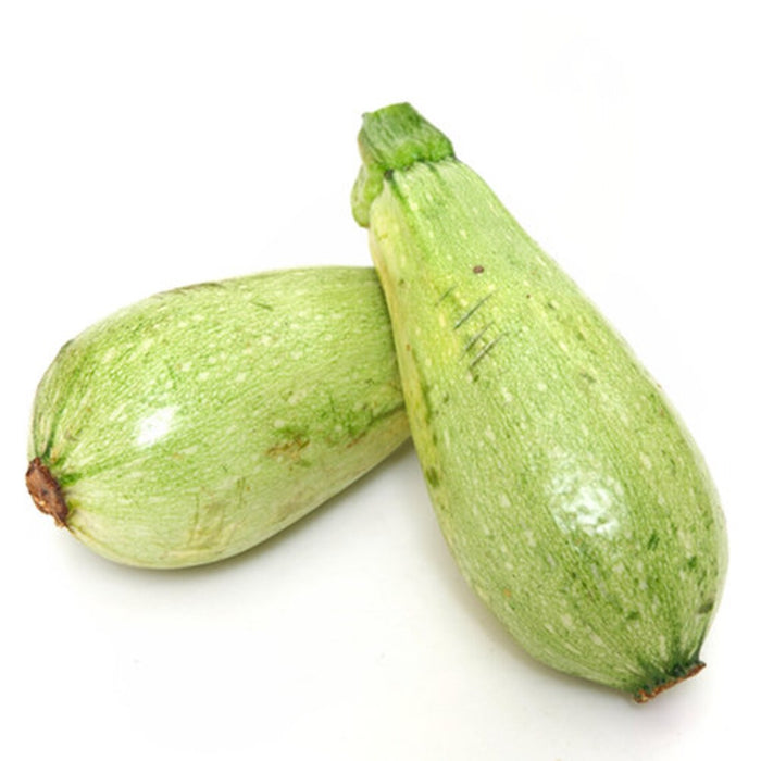 Lebanese White Bush Marrow Squash Seeds [PACKET ONLY]