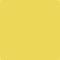Shop the paint color 355 Majestic Yellow by Benjamin Moore at Anderson Paint Company in Ann Arbor, Michigan.