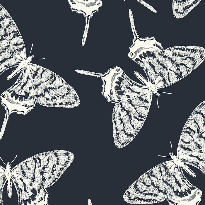 Mariposa