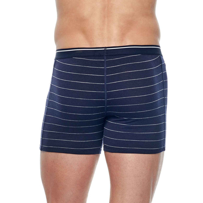 icebreaker mens anatomica boxers on body 2