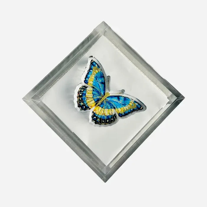 MH Acrylic Napkin Weight -Butterfly Blues