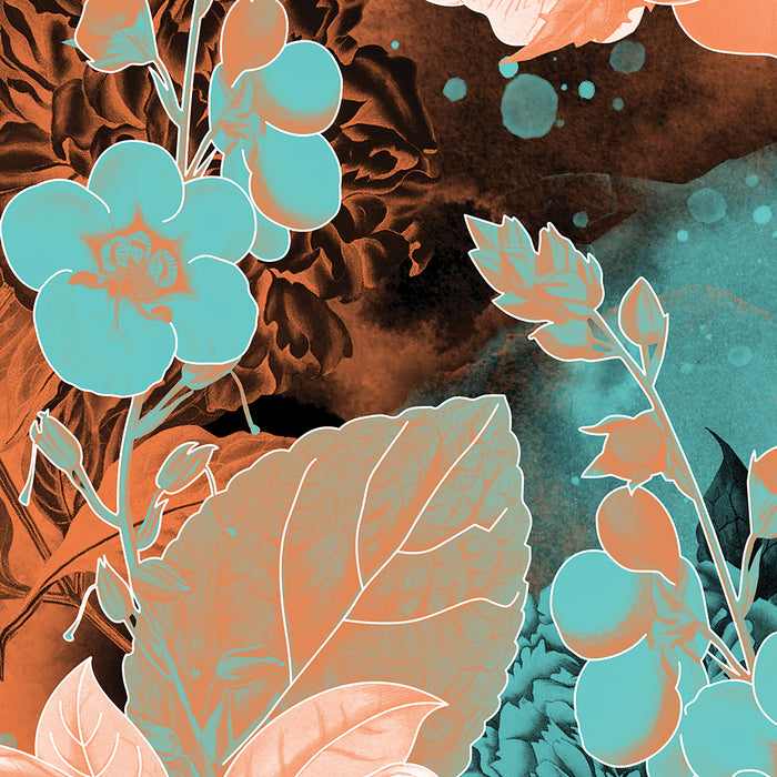Mindful of the Earth