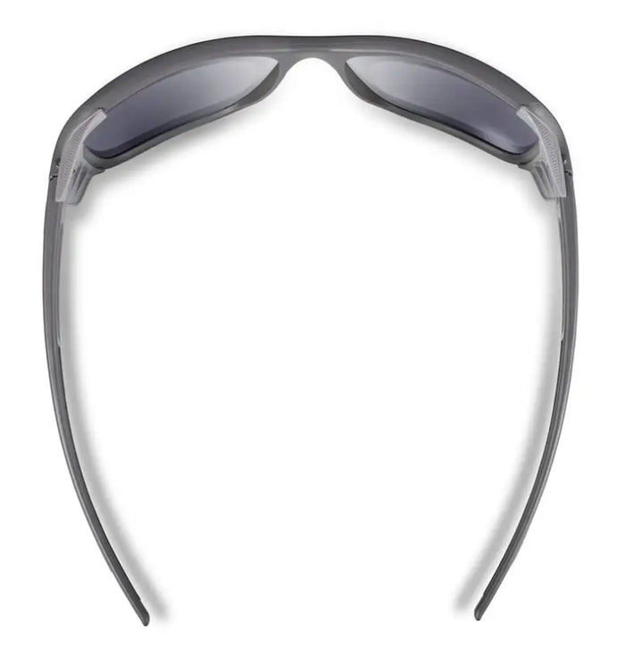 Julbo Montebianco 2 Spectron 4 Sunglasses