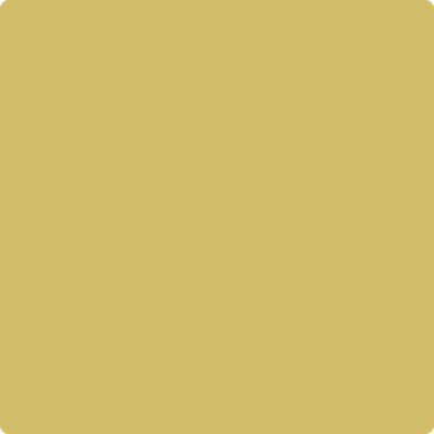 Shop the paint color 377 Mustard Field by Benjamin Moore at Anderson Paint Company in Ann Arbor, Michigan.