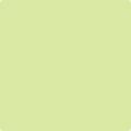 Shop the paint color 402 Neon by Benjamin Moore at Anderson Paint Company in Ann Arbor, Michigan.