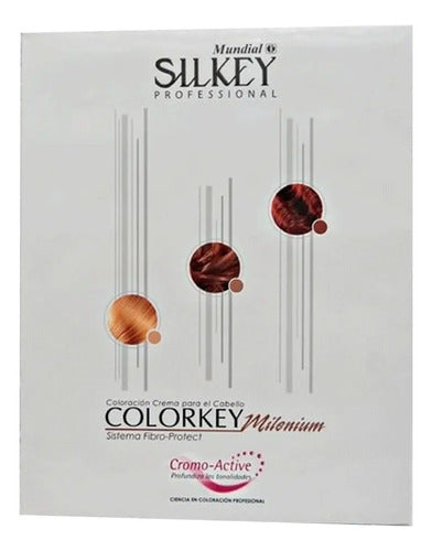 Pack 12 Tintas Silkey Colorkey Milenium 120gr Tonos Elección A Elección